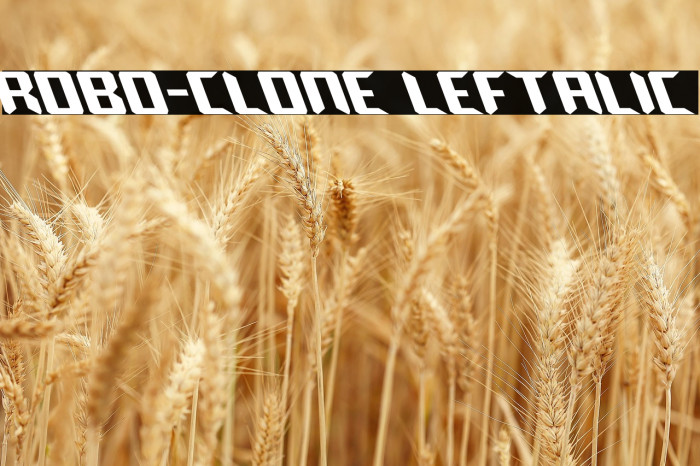 Robo-Clone Leftalic Example 2