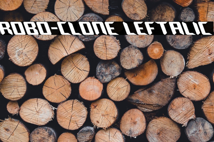 Robo-Clone Leftalic Example 3