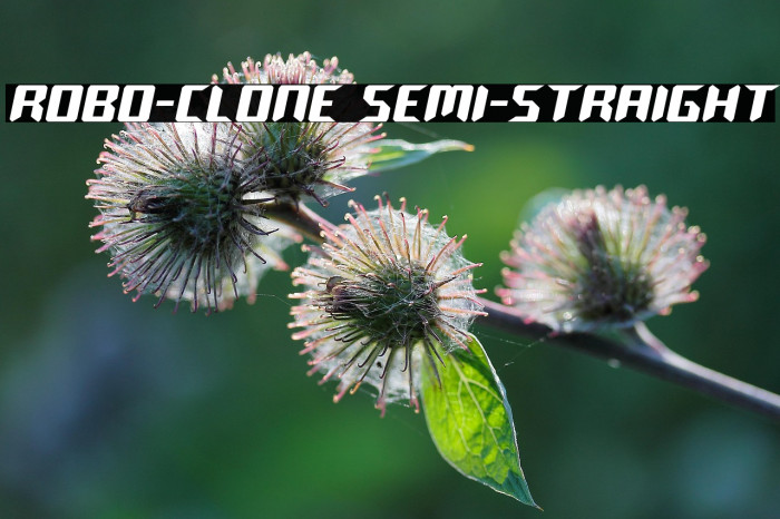 Robo-Clone Semi-Straight Example 1