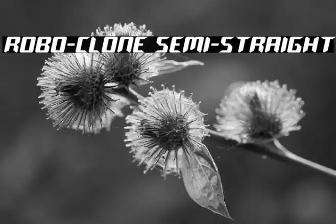 Robo-Clone Semi-Straight Polices examples