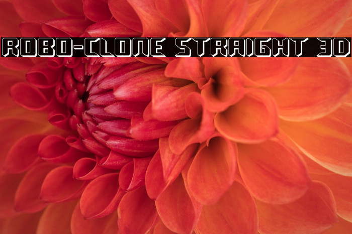 Robo-Clone Straight 3D Example 2