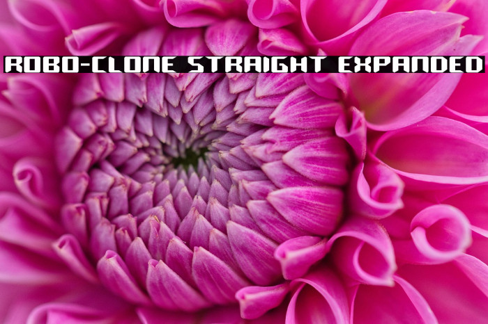 Robo-Clone Straight Expanded Example 2