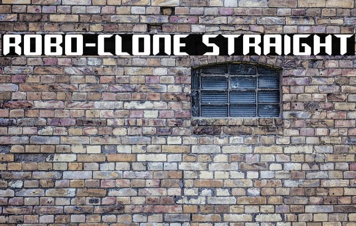 Robo-Clone Straight Example 1