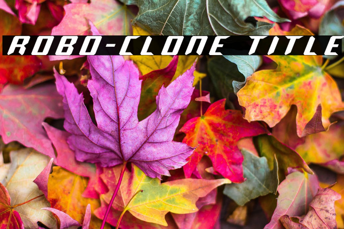 Robo-Clone Title Example 3