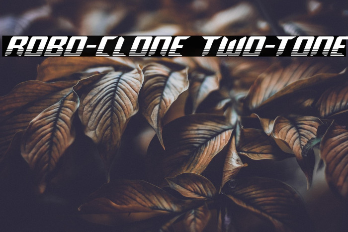 Robo-Clone Two-Tone Example 1