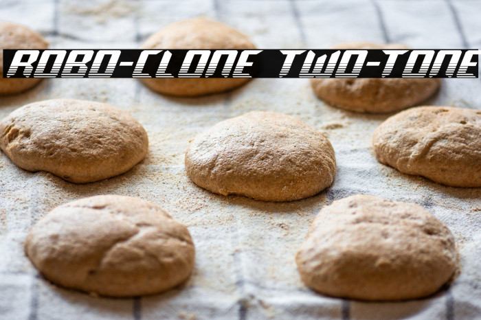 Robo-Clone Two-Tone Example 2