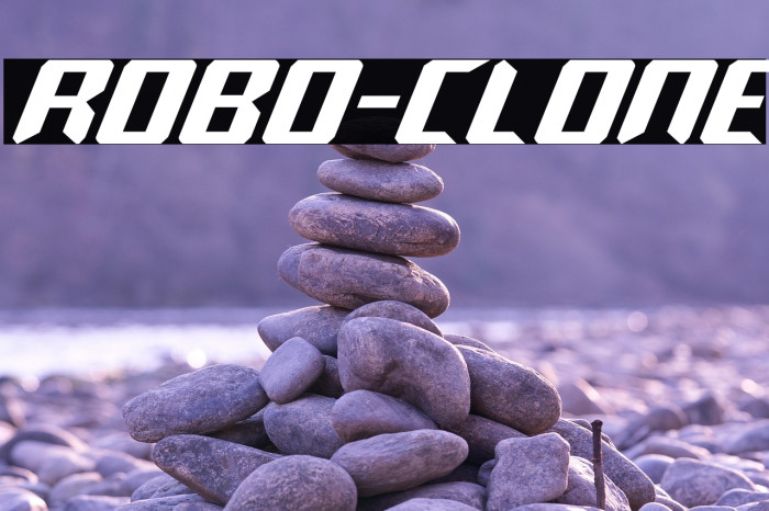 Robo-Clone Example 1