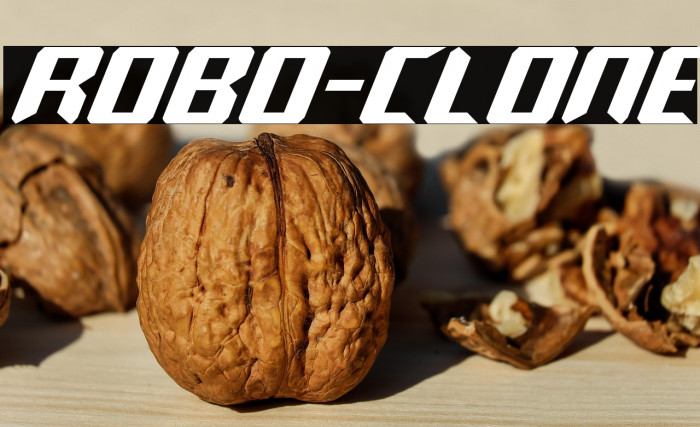 Robo-Clone Example 2