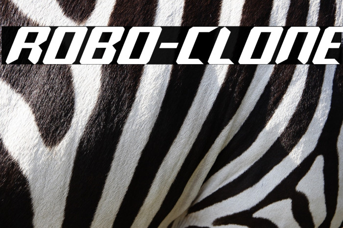 Robo-Clone Example 3