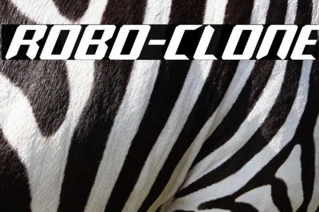 Robo-Clone Example 3
