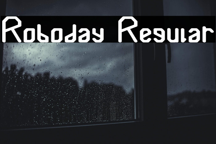 Roboday Regular Example 1