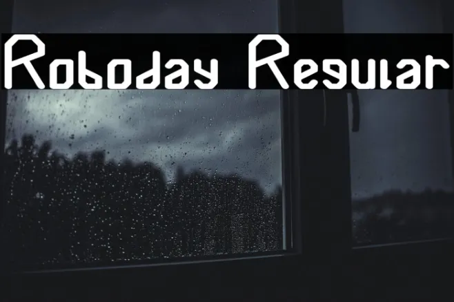 Roboday Regular Example 1