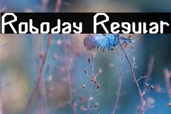 Roboday Regular Example 2