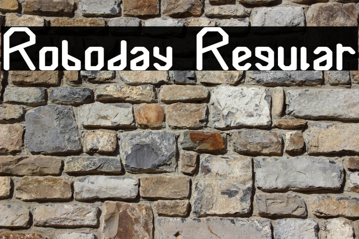 Roboday Regular Example 3