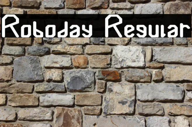 Roboday Regular Example 3