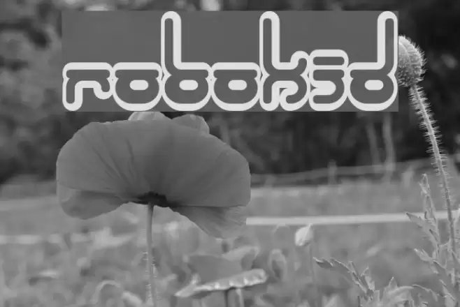 Robokid Font examples
