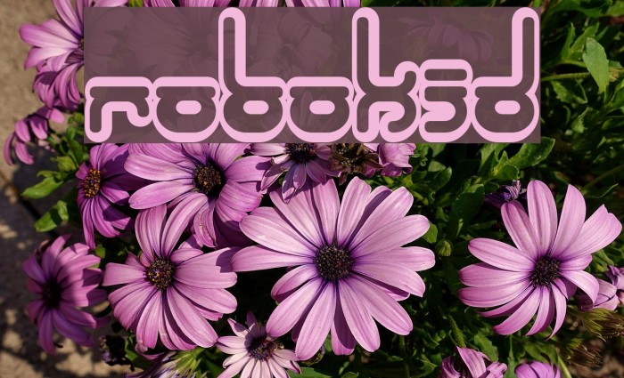 Robokid Font examples