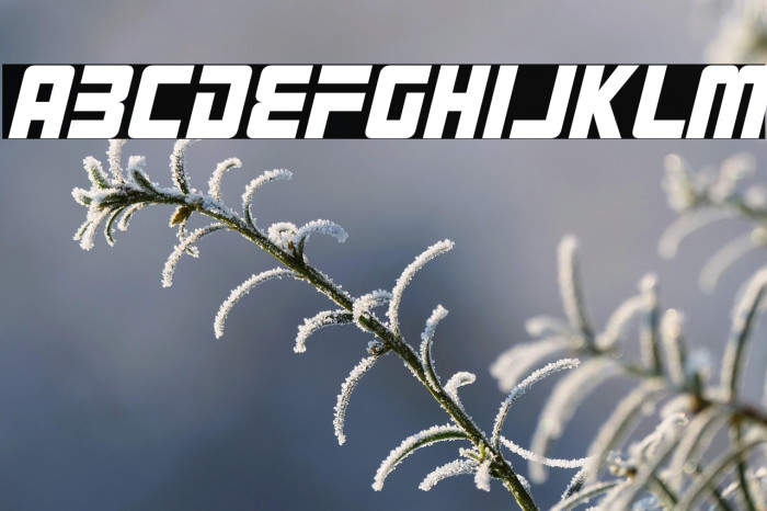 Robot 9000 Italic Example 3