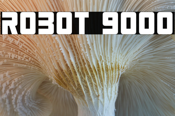 Robot 9000 Example 3