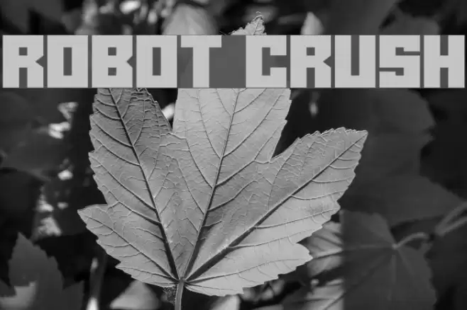 Robot Crush Font examples