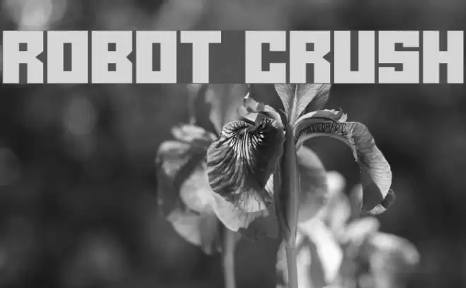 Robot Crush Font examples