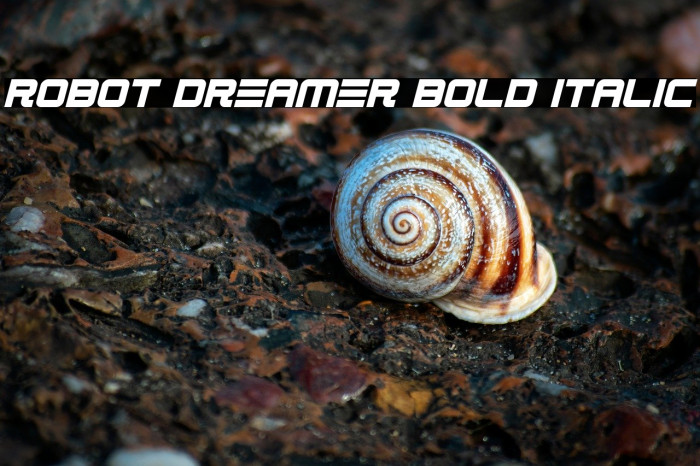 Robot Dreamer Bold Italic Example 1