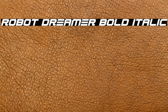 Robot Dreamer Bold Italic Example 3