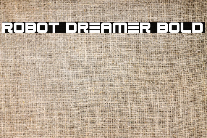 Robot Dreamer Bold Example 3