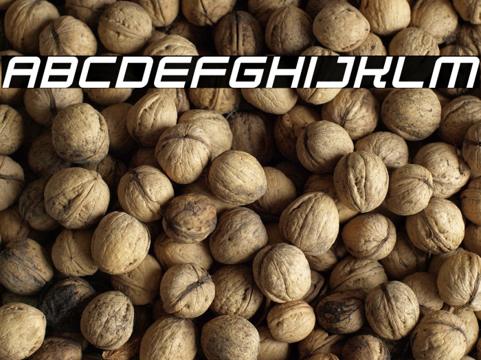 Robot Dreamer Italic Example 1