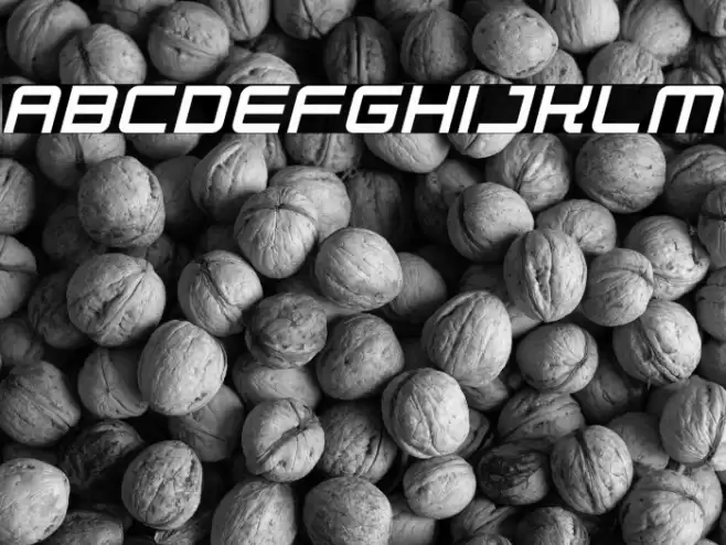 Robot Dreamer Italic Font examples