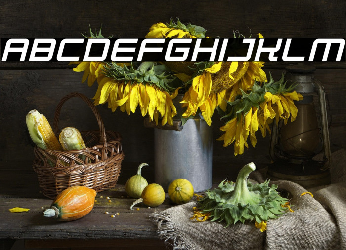 Robot Dreamer Italic Example 2