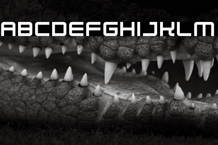 Robot Dreamer Example 1