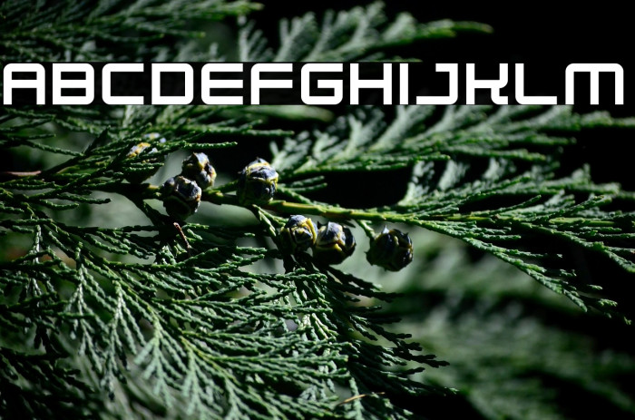 Robot Dreamer Example 2