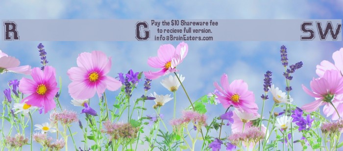 Robot GamesSW Example 1