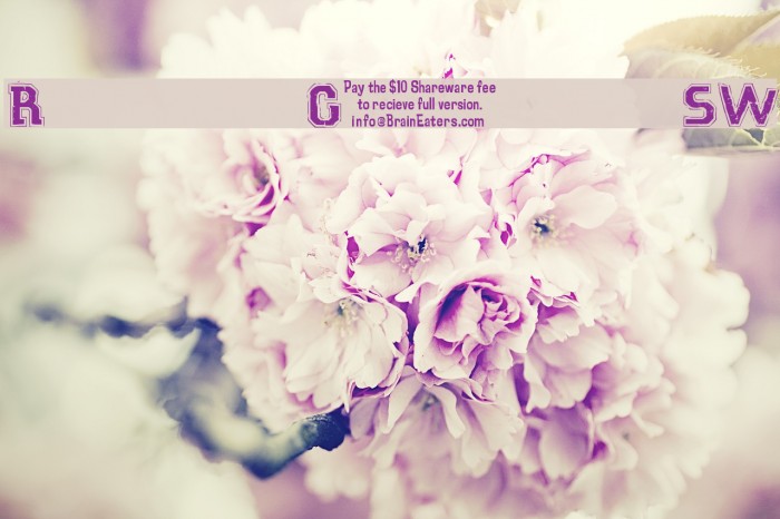 Robot GamesSW Example 2