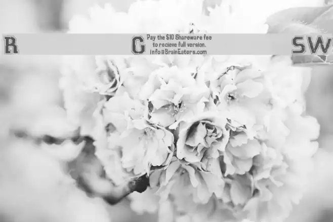 Robot GamesSW Font examples