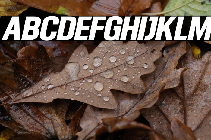 Robot Go Italic Example 1