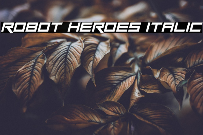 Robot Heroes Italic Example 2