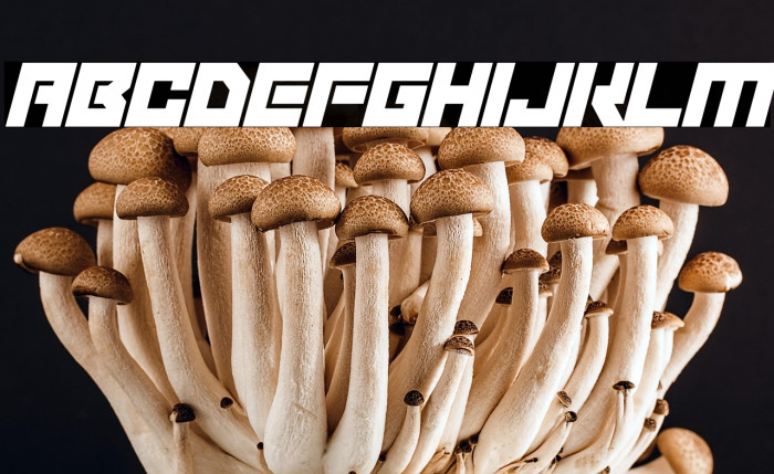 Robot Invaders Italic Example 2