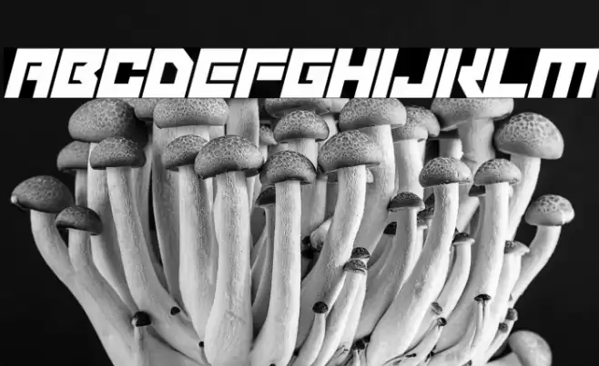 Robot Invaders Italic Font examples