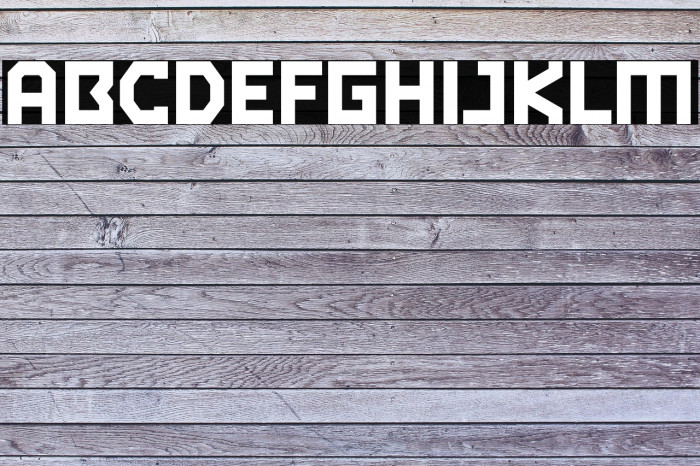 Robot Personal Use Example 2