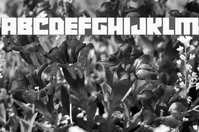 Robot Radicals Font examples