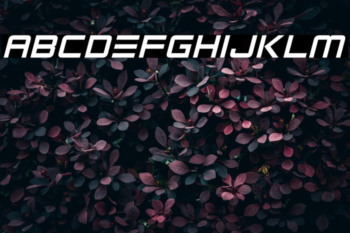 Robot Reavers Example 2