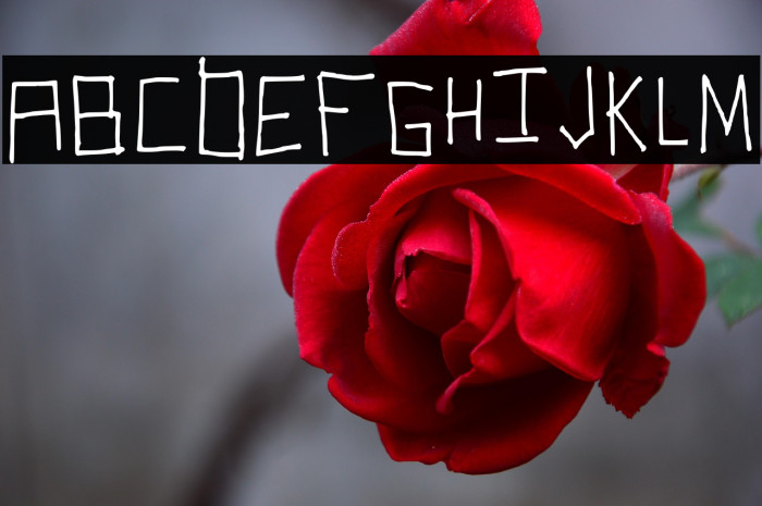 Robot Regular Example 2