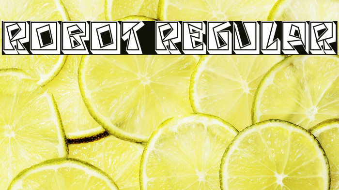 Robot Regular Example 1