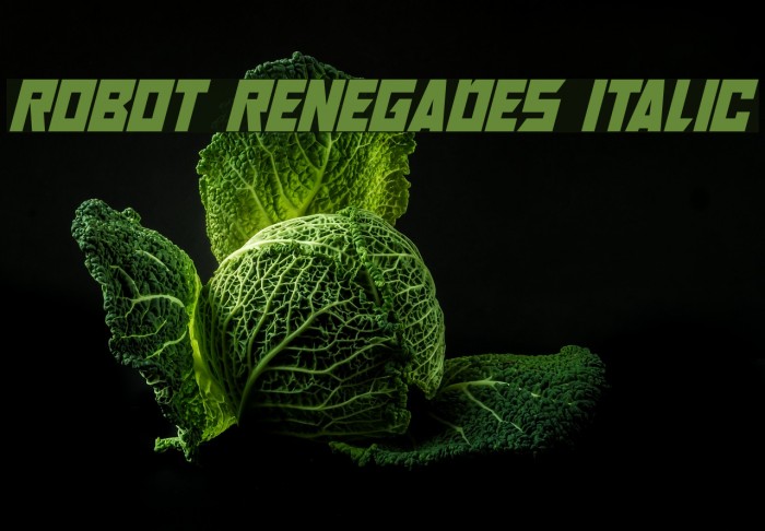 Robot Renegades Italic Example 3