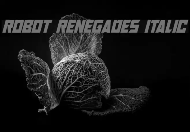Robot Renegades Italic Font examples
