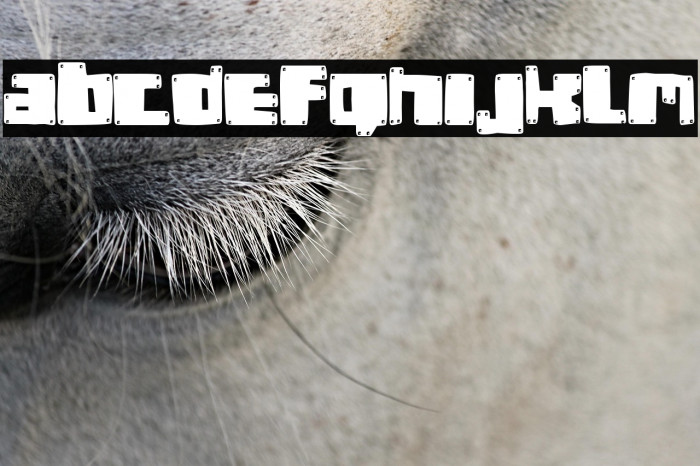 Robot Socialista Example 3