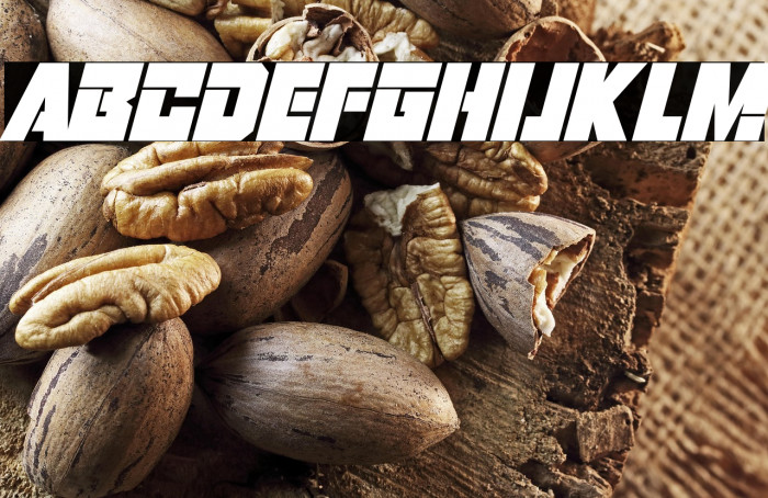 Robot Warriors Italic Example 2