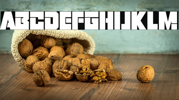 Robot Warriors Example 2